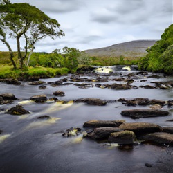 Beleef de Magie van Ierland: Ontdek de Ierse Cultuur en Tradities!