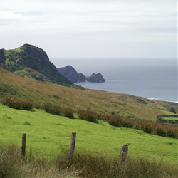 Ontdek de adembenemende schoonheid van de landschappen van Ierland!