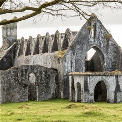 Ontdek de betoverende geschiedenis van Sligo Abbey