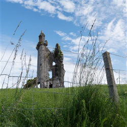 Ontdek de betoverende oude ruïnes van Ierland