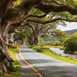 Ontdek de Magie van Ierland: De Top 10 Bezienswaardigheden die je Niet Mag Missen!