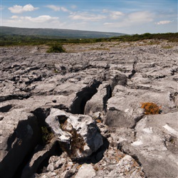 Ontdek het betoverende landschap van The Burren: Een verborgen parel in Ierland