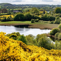 Ontdek het magische landschap van Brú na Bóinne: een reis naar het hart van Ierland