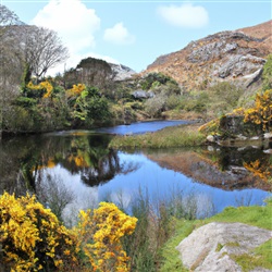 Ontspannen in de Prachtige Natuur van Ierland: Een Unieke Reiservaring